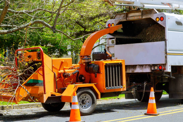 Best Affordable Tree Service  in Laurel Hill, VA